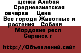 щенки Алабая (Среднеазиатская овчарка) › Цена ­ 15 000 - Все города Животные и растения » Собаки   . Мордовия респ.,Саранск г.